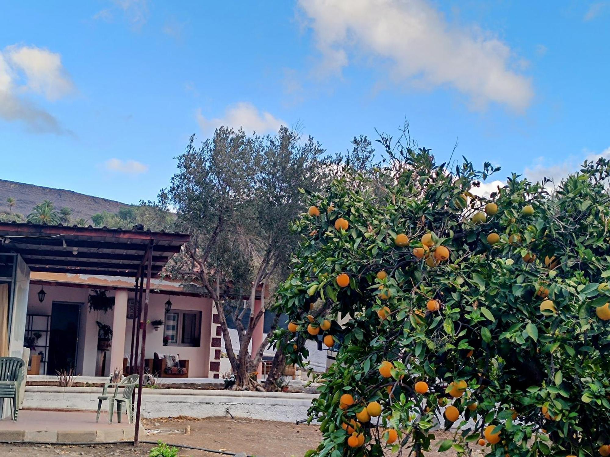 La Casa De La Pradera Bed and Breakfast Santa Lucia Eksteriør billede